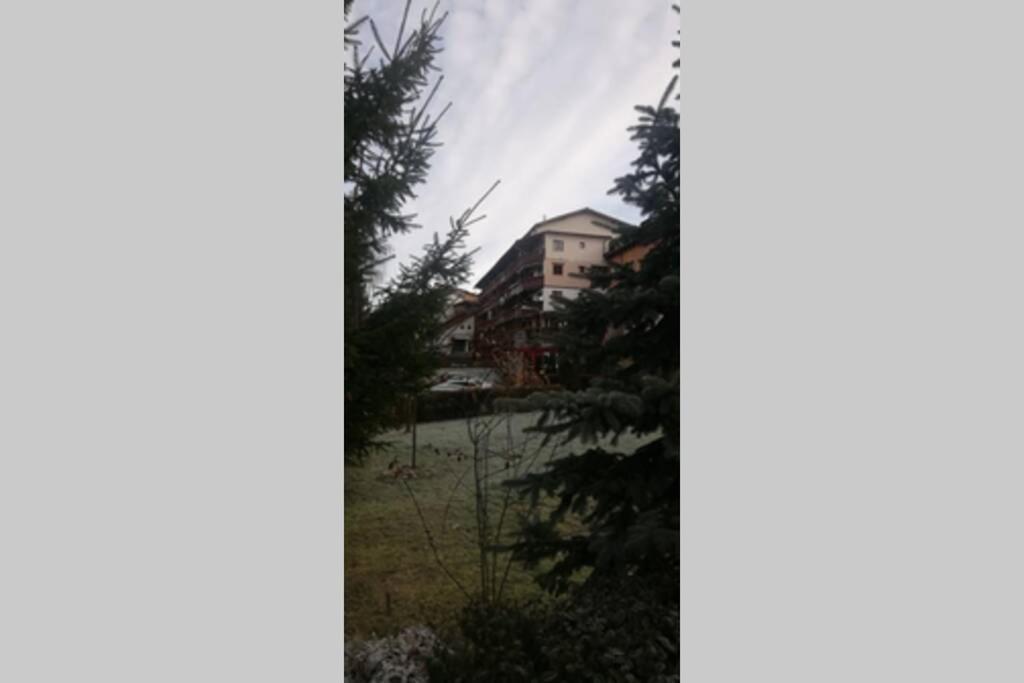 Large Vacation Apartment In Poiana Brasov Extérieur photo