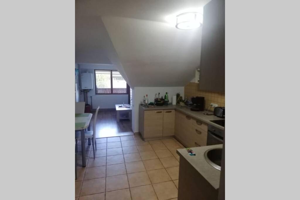 Large Vacation Apartment In Poiana Brasov Extérieur photo