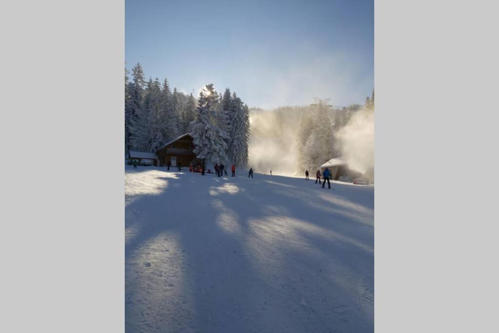 Large Vacation Apartment In Poiana Brasov Extérieur photo